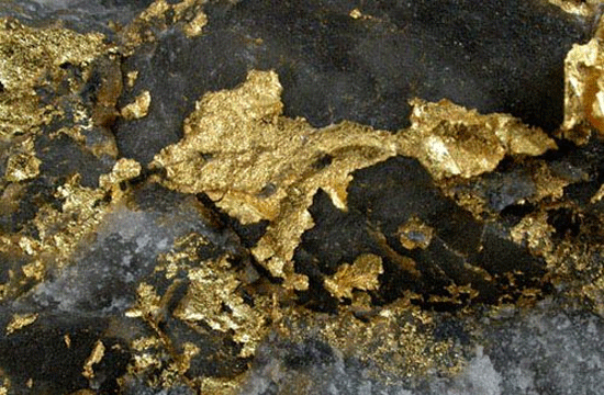 Không xuất khẩu quặng nguyên khai, tinh quặng vàng, đồng