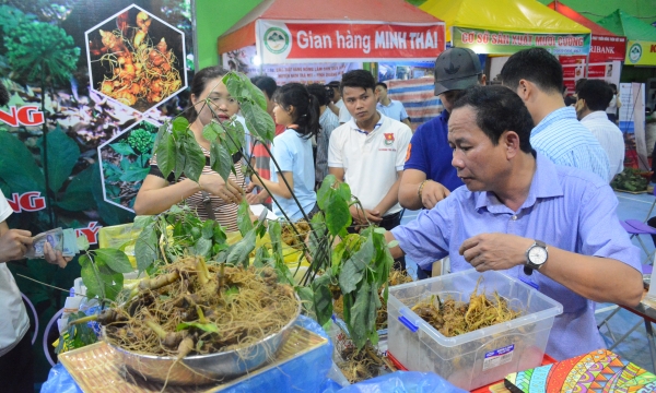Quảng Nam: Độc đáo lễ hội sâm Ngọc Linh lần thứ II