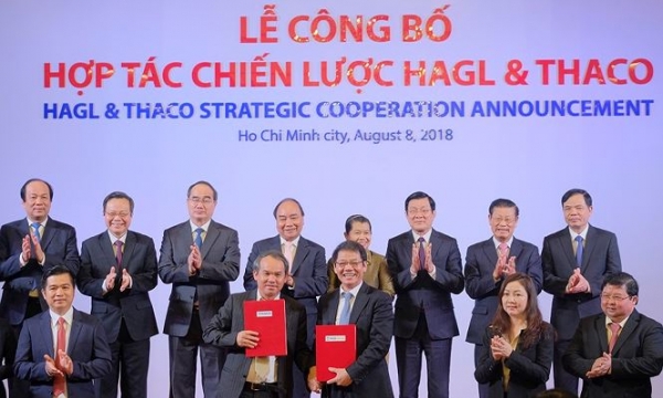 Thaco đầu tư 7.800 tỷ đồng vào Hoàng Anh Gia Lai