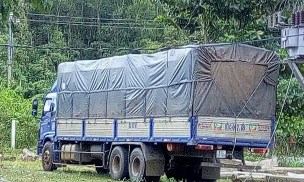 Quảng Nam: Bắt xe tải vận chuyển hơn 1 tấn gỗ trắc