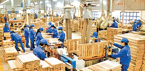 Phát triển ngành chế biến gỗ và lâm sản xuất khẩu bền vững, hiệu quả
