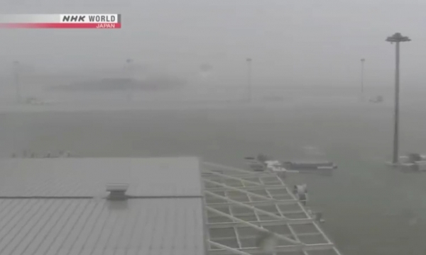 Đường bay đến Nhật tiếp tục gián đoạn do hậu quả siêu bão Jebi