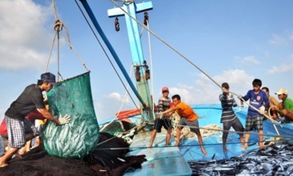 Tăng cường thực hiện giải pháp về chống khai thác hải sản bất hợp pháp