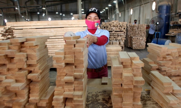 Xuất khẩu gỗ Việt Nam đứng đầu khu vực Đông Nam Á