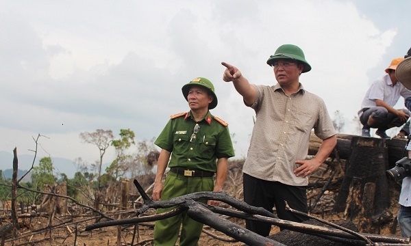 Quảng Nam: Cán bộ kiểm lâm xã bị phạt một năm tù do để rừng phòng hộ bị phá