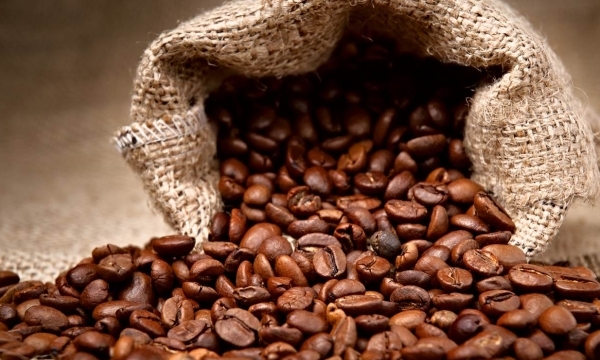 Giá cà phê sẽ tiếp tục thấp trong 6 tháng đầu năm 2019 