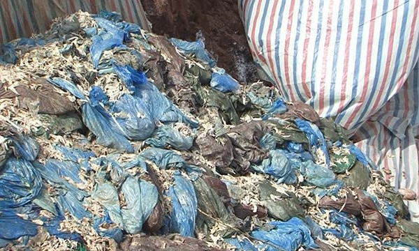 Điện Biên: Tiêu hủy 58 tấn chân gà đông lạnh