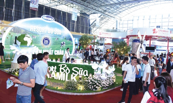 Sữa Việt xuất khẩu: Nhiều kỳ vọng, lắm thách thức!