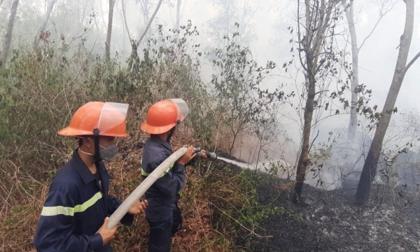 Quảng Nam và Quảng Ngãi liên tiếp xảy ra cháy rừng