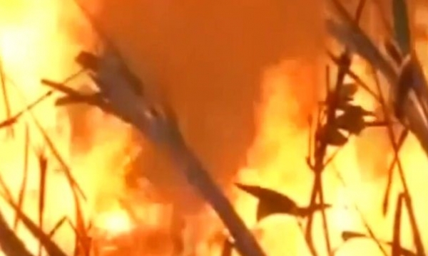 Brazil đưa quân đội tới dập lửa cháy rừng Amazon rất nghiêm trọng