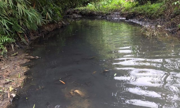 Bắt khẩn cấp 2 đối tượng đổ trộm dầu thải vào nguồn nước sạch sông Đà