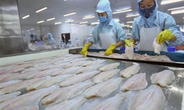Mỹ giảm thuế bán phá giá cá tra Việt Nam