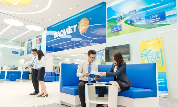 Baoviet Fund -  Công ty Quản lý Quỹ tốt nhất Việt Nam năm 2019