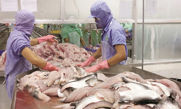 Mỹ chính thức công nhận chuẩn ATTP của cá tra Việt Nam