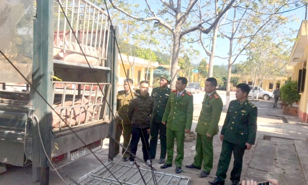 QLTT Lạng Sơn bắt giữ hàng tấn thực phẩm không rõ nguồn gốc 