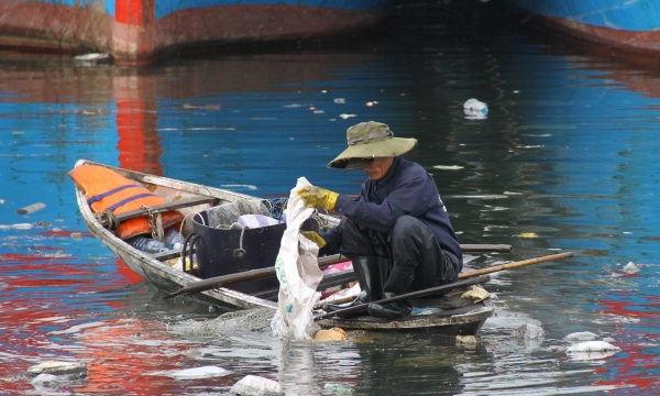 Cảng cá Thọ Quang ngập rác do đâu?
