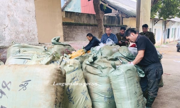 Lạng Sơn tạm giữ gần 2.000 sản phẩm mỹ phẩm nhập lậu