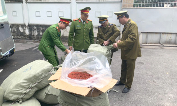 Bắc Giang thu giữ gần 1 tấn nguyên liệu thuốc bắc nhập lậu 