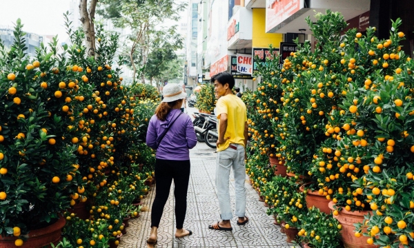 Đà Nẵng: Người bán hoa phấn khởi vì hoa Tết được mùa, được giá