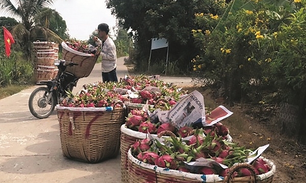 Ấn Độ: Thị trường tiềm năng cho nông sản Việt