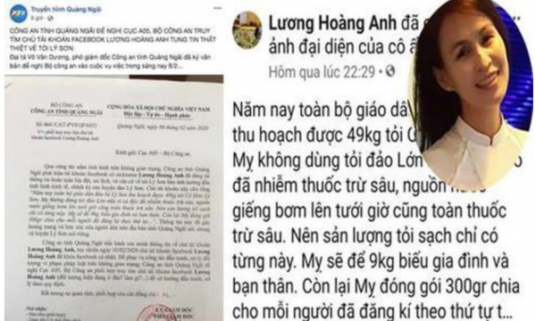 Xử phạt nữ facebooker đăng 'tin vịt' tỏi Lý Sơn nhiễm thuốc trừ sâu 