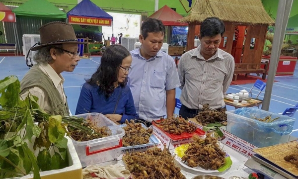 Quảng Nam: Phòng chống dịch Covid-19, chợ sâm Ngọc Linh chuyển sang bán online