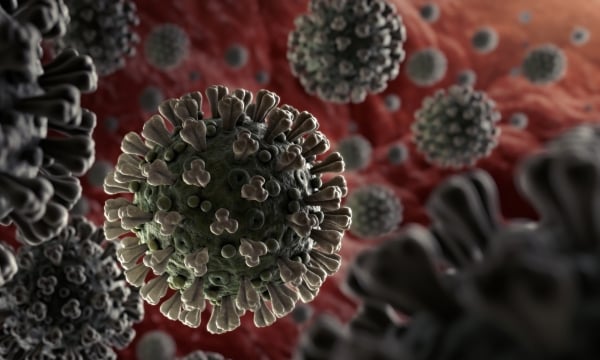 Virus SARS CoV-2 có thể sống trên các bề mặt bao lâu?