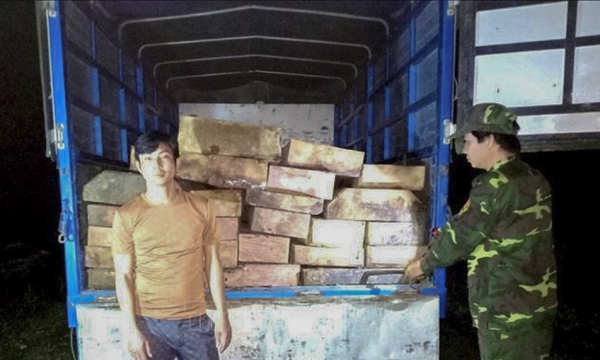 Thừa Thiên-Huế: Phát hiện xe tải vận chuyển 37 phách gỗ trái phép   