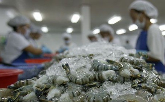 Cơ hội đẩy mạnh xuất khẩu tôm sau dịch bệnh