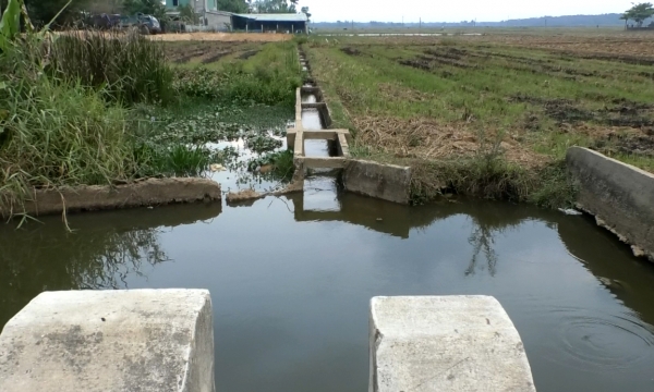 Quảng Nam: Xây dựng kênh mương nội đồng nhưng không dẫn được nước về đồng