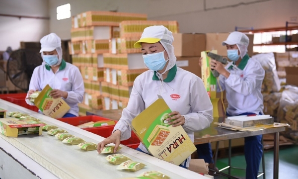 EVFTA, EVIPA sẽ là “trụ đỡ” cho kinh tế Việt Nam phục hồi hậu Covid-19?