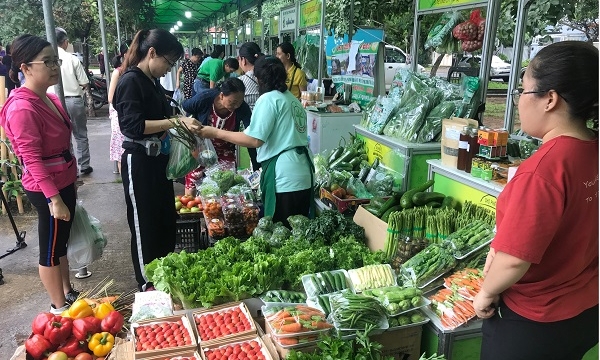 Đẩy mạnh xuất khẩu hàng hóa của Việt Nam vào ASEAN