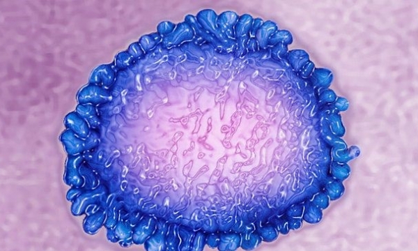 Tìm thấy chủng virus cúm “có khả năng gây đại dịch” ở Trung Quốc