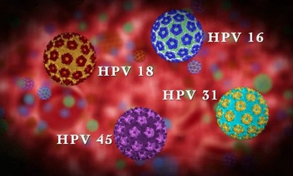 Nhiễm HPV và vấn đề phòng ngừa