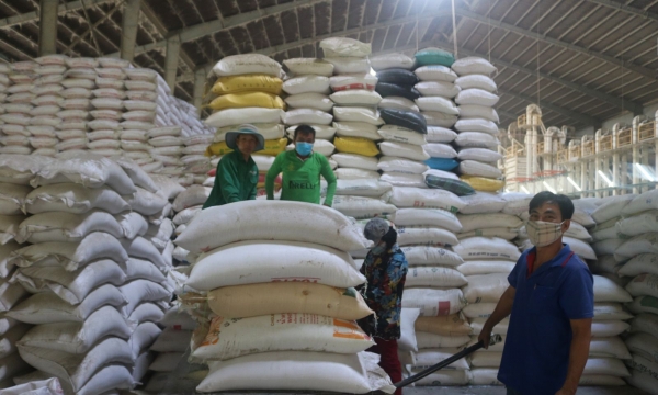 Xuất khẩu gạo tăng gần 11%