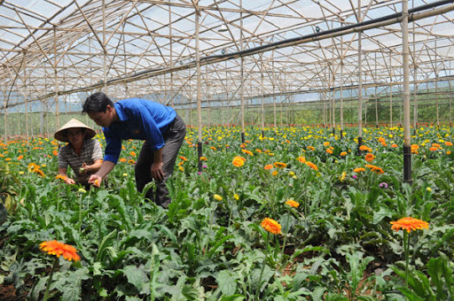 Nông dân, doanh nghiệp nhỏ châu Á được hỗ trợ hơn 500 triệu USD ứng phó COVID-19