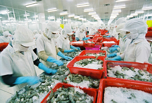 12 doanh nghiệp Việt Nam được xuất khẩu thủy sản trở lại vào Ả rập Xê út 