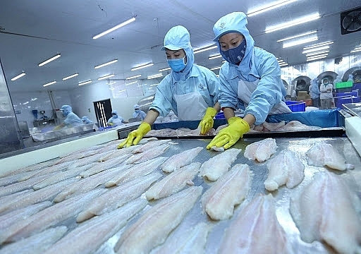 EVFTA thành sức bật cho con cá tra Việt vào EU 