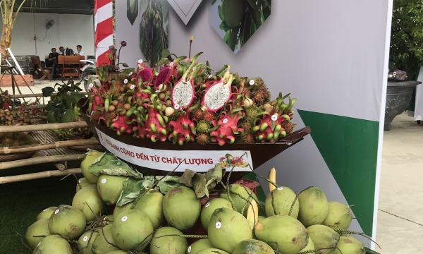 Việt Nam xuất khẩu lô trái cây trị giá 75.000 USD sang EU