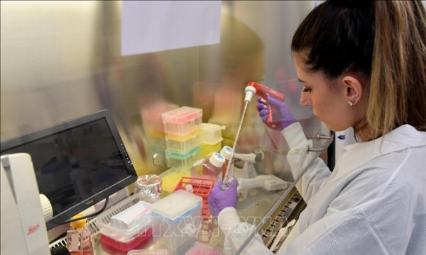 Israel và Bỉ đã phát triển kháng thể tiêu diệt virus SARS CoV-2