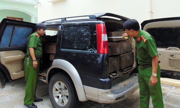 Quảng Nam: Bắt hàng loạt phi vụ vận chuyển gỗ lậu
