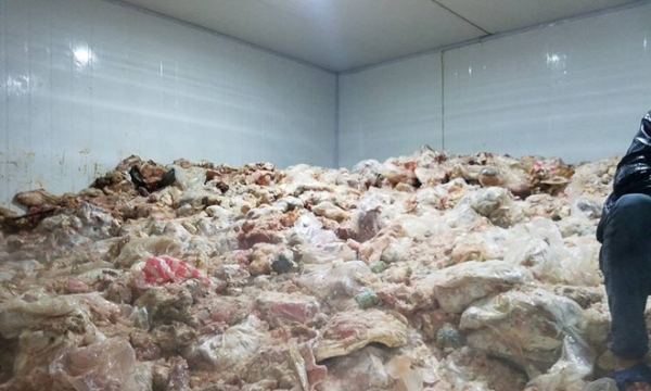 Đà Nẵng: Phát hiện gần 15 tấn phế phẩm động vật hôi thối chờ tiêu thụ