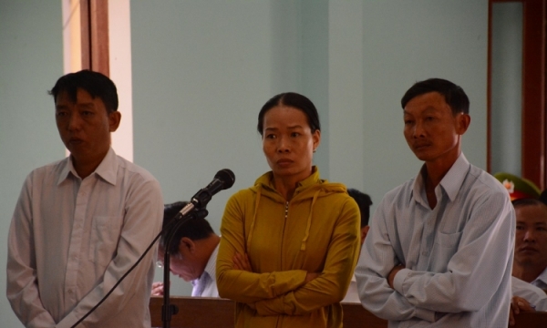Quảng Nam: Để rừng phòng hộ bị phá, một kiểm lâm hầu tòa