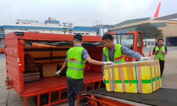 Sa thải 2 nhân viên bốc xếp ở sân bay Tân Sơn Nhất