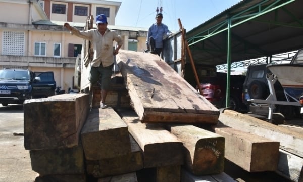 Đà Nẵng, Quảng Nam liên tiếp bắt gỗ lậu trên đường bộ, đường sông