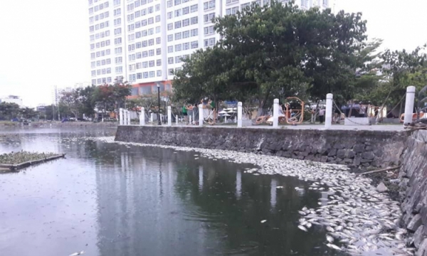 Đà Nẵng: Lắp máy sục khí để giảm ô nhiễm nước hồ Vĩnh Trung và Thạc Gián