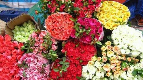 Hoa hồng tăng giá vẫn gây sốt mùa lễ tình nhân 2016