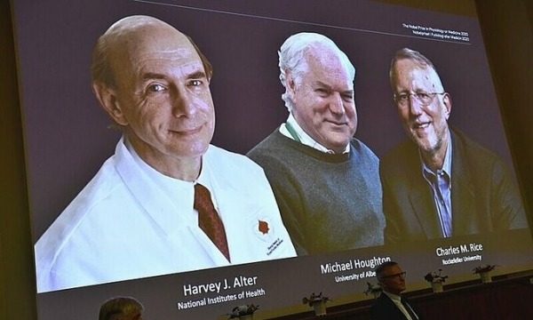Giải Nobel Y Sinh 2020 được trao cho ba giáo sư phát hiện virus viêm gan C