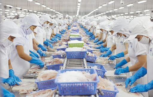 Thủy sản Việt Nam đang được xuất sang 154 thị trường