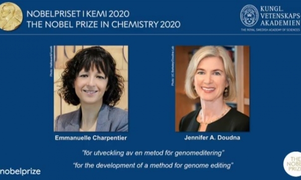 Hai khoa học gia Pháp và Mỹ đoạt Giải Nobel Hóa học năm 2020